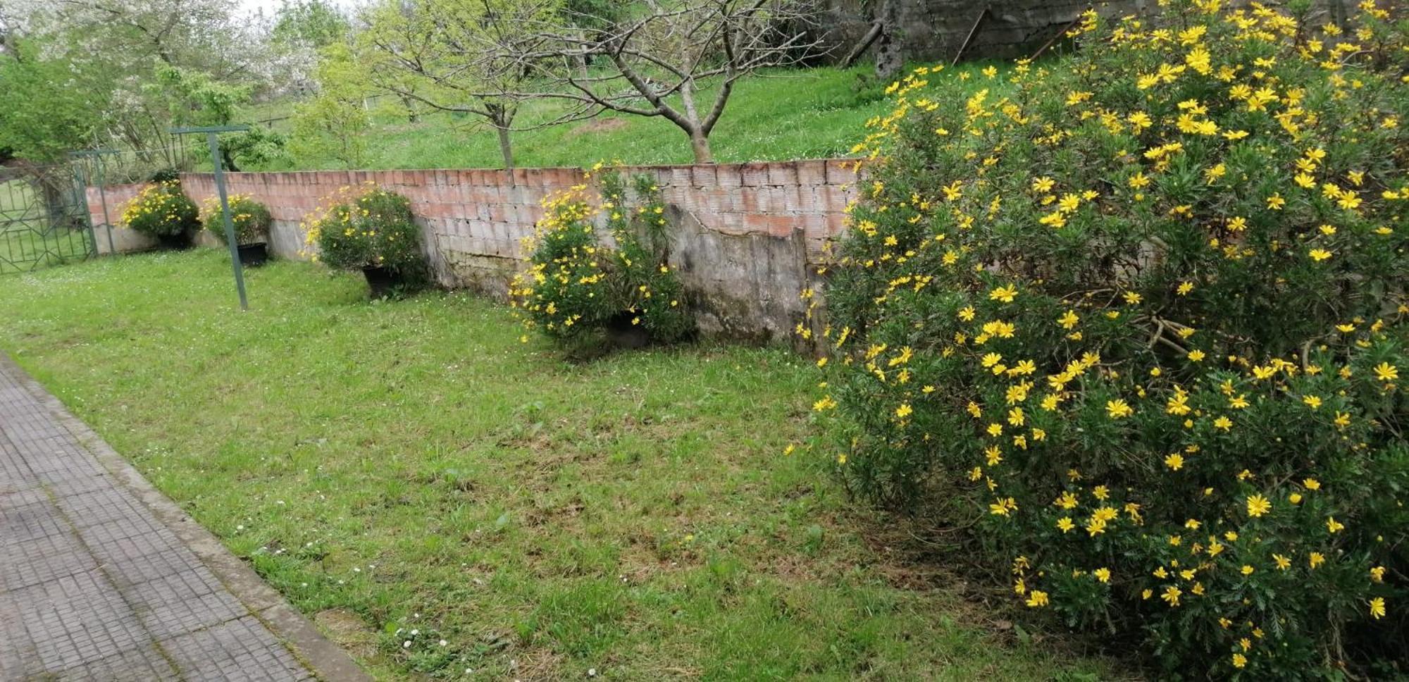 Fondu La Llosa - Casita Cerca De Gijon - Vv-662-As فِيافيثيوسّا المظهر الخارجي الصورة